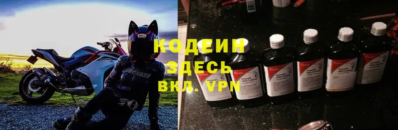 где можно купить   Красный Холм  Кодеиновый сироп Lean Purple Drank 